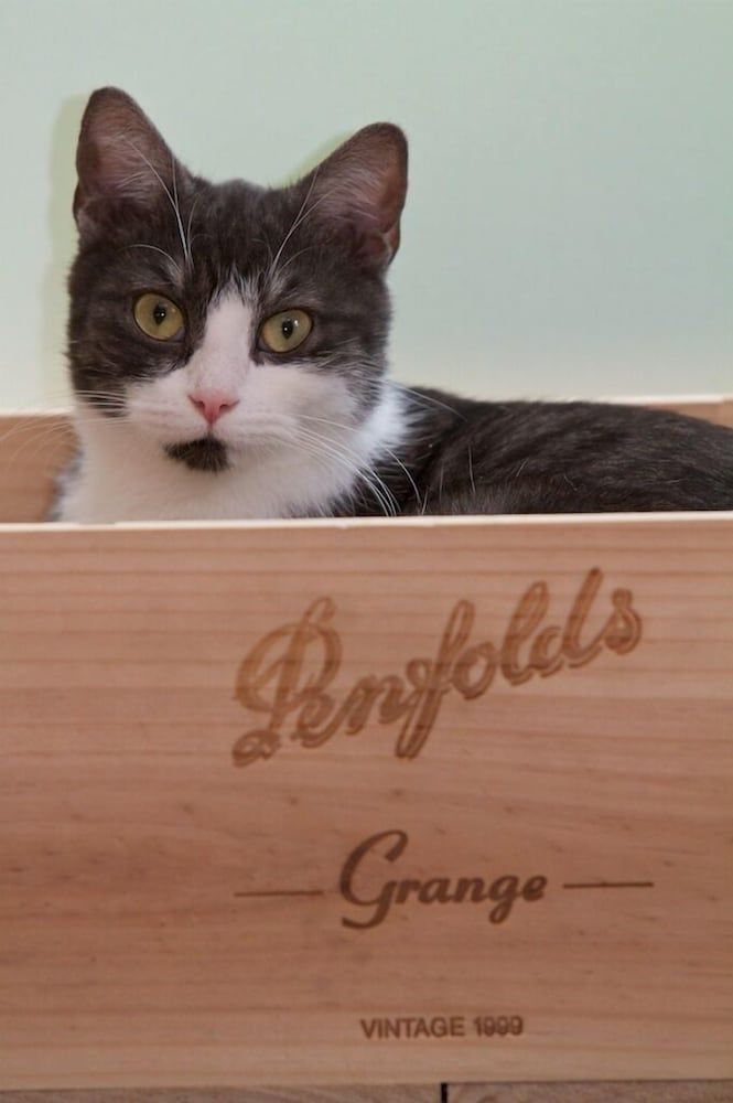 Generelt
