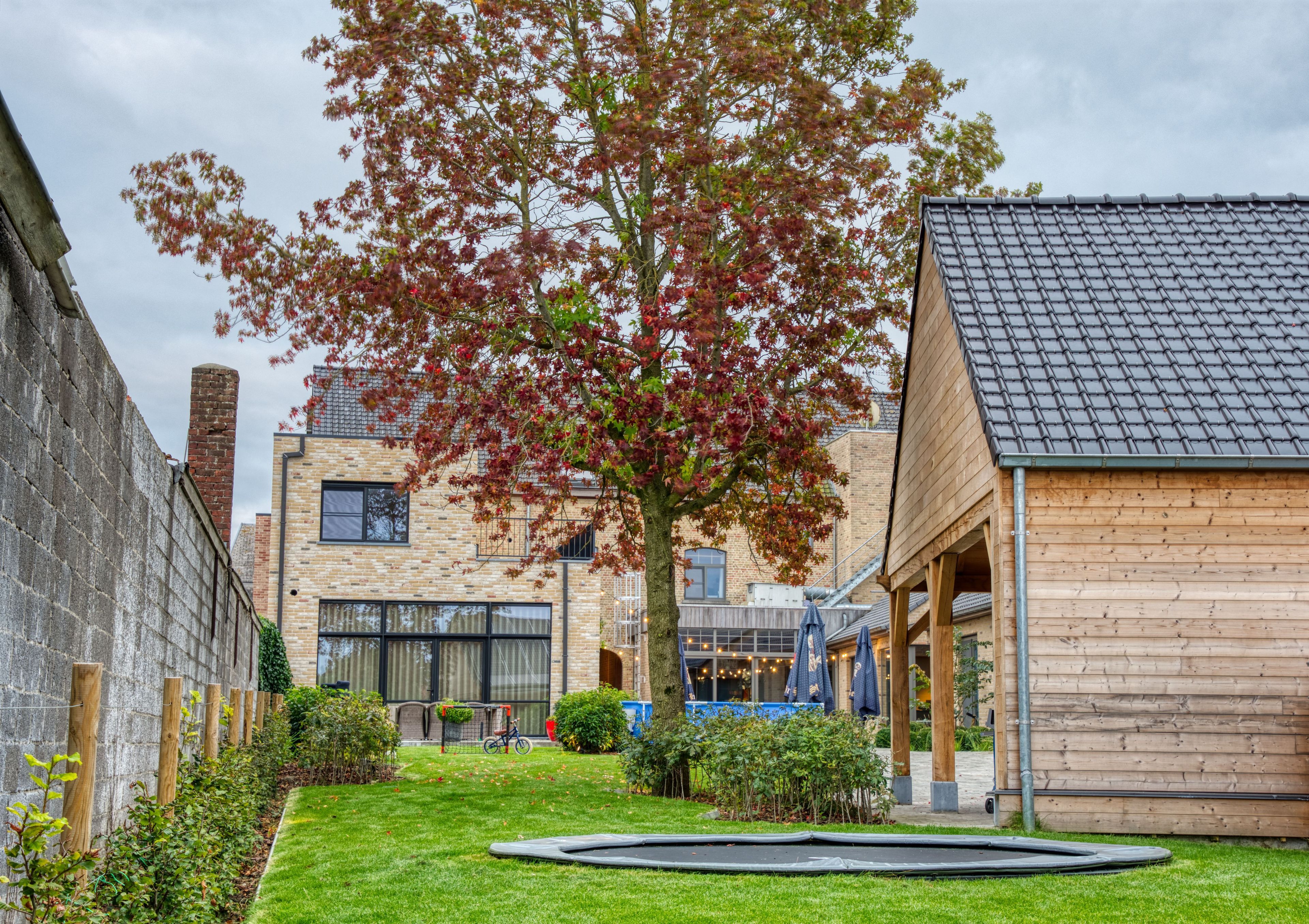 Hovedbillede
