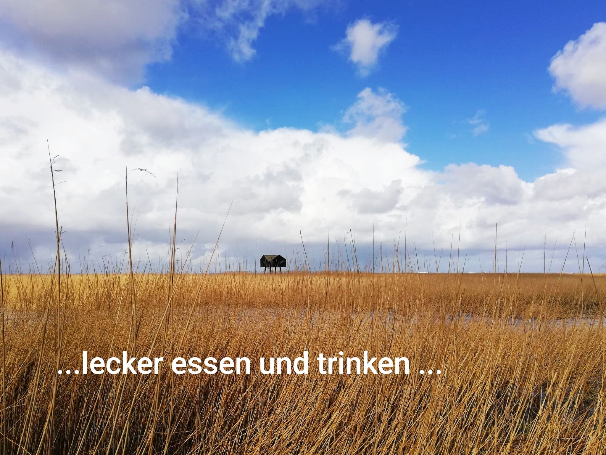 Omgivelser