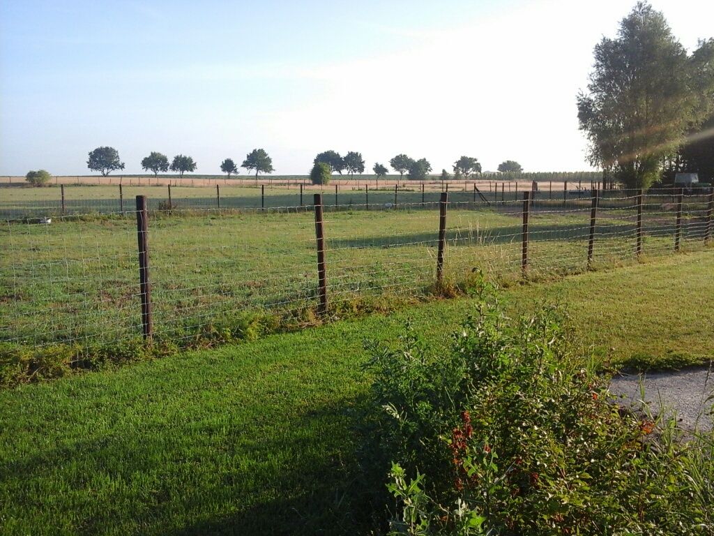 Omgivelser