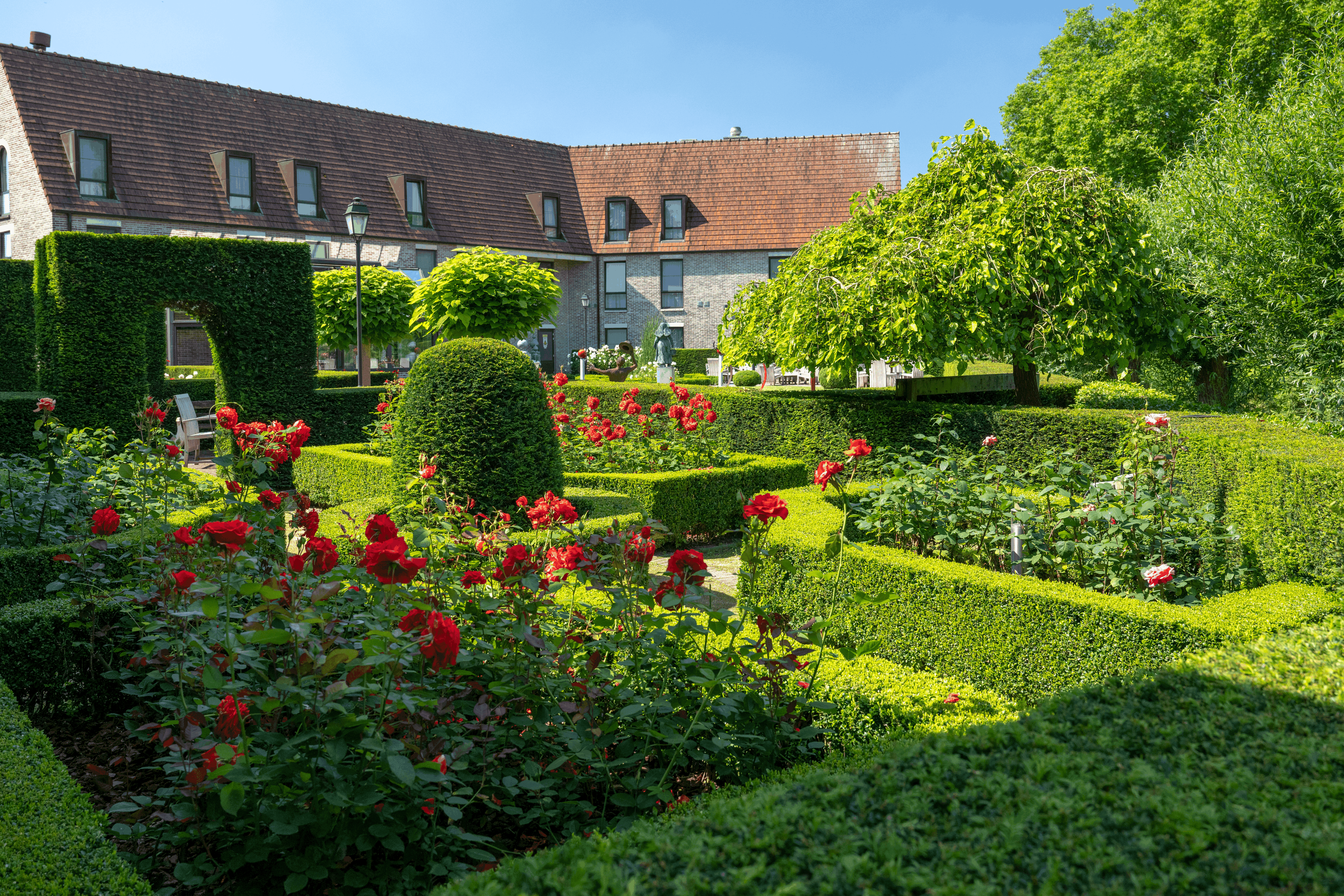 Hovedbillede