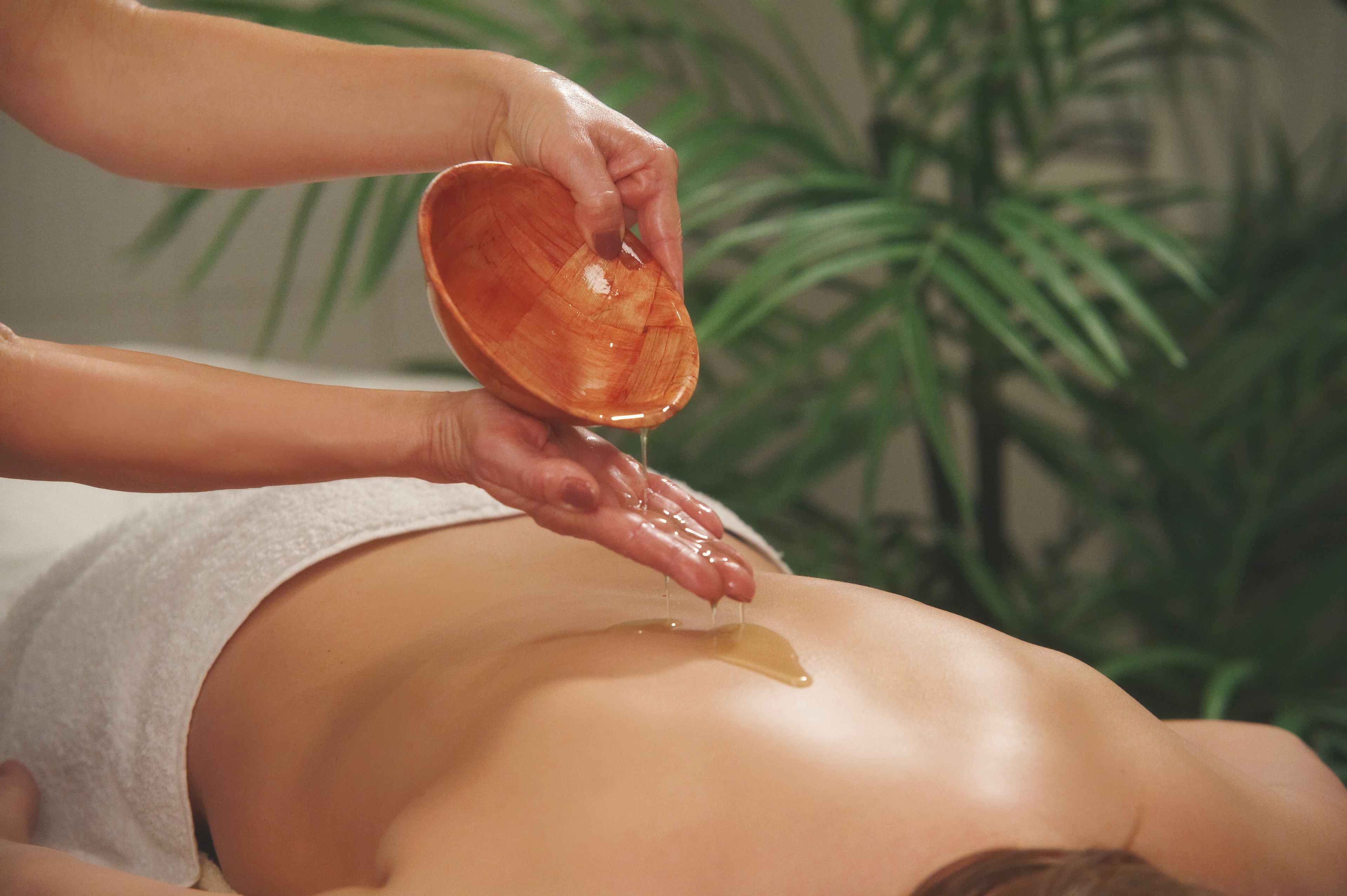Spa / Wellness