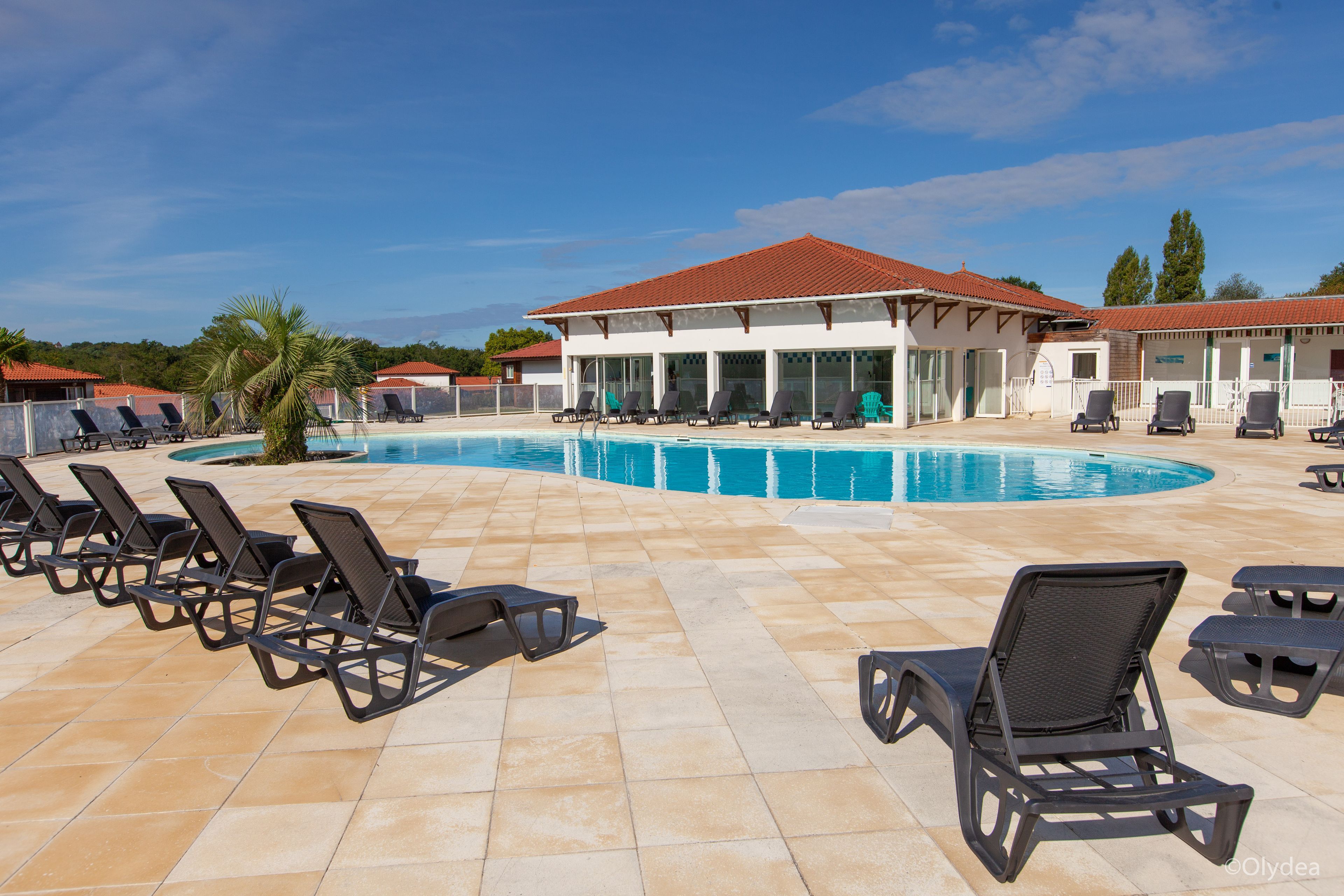category_swimming