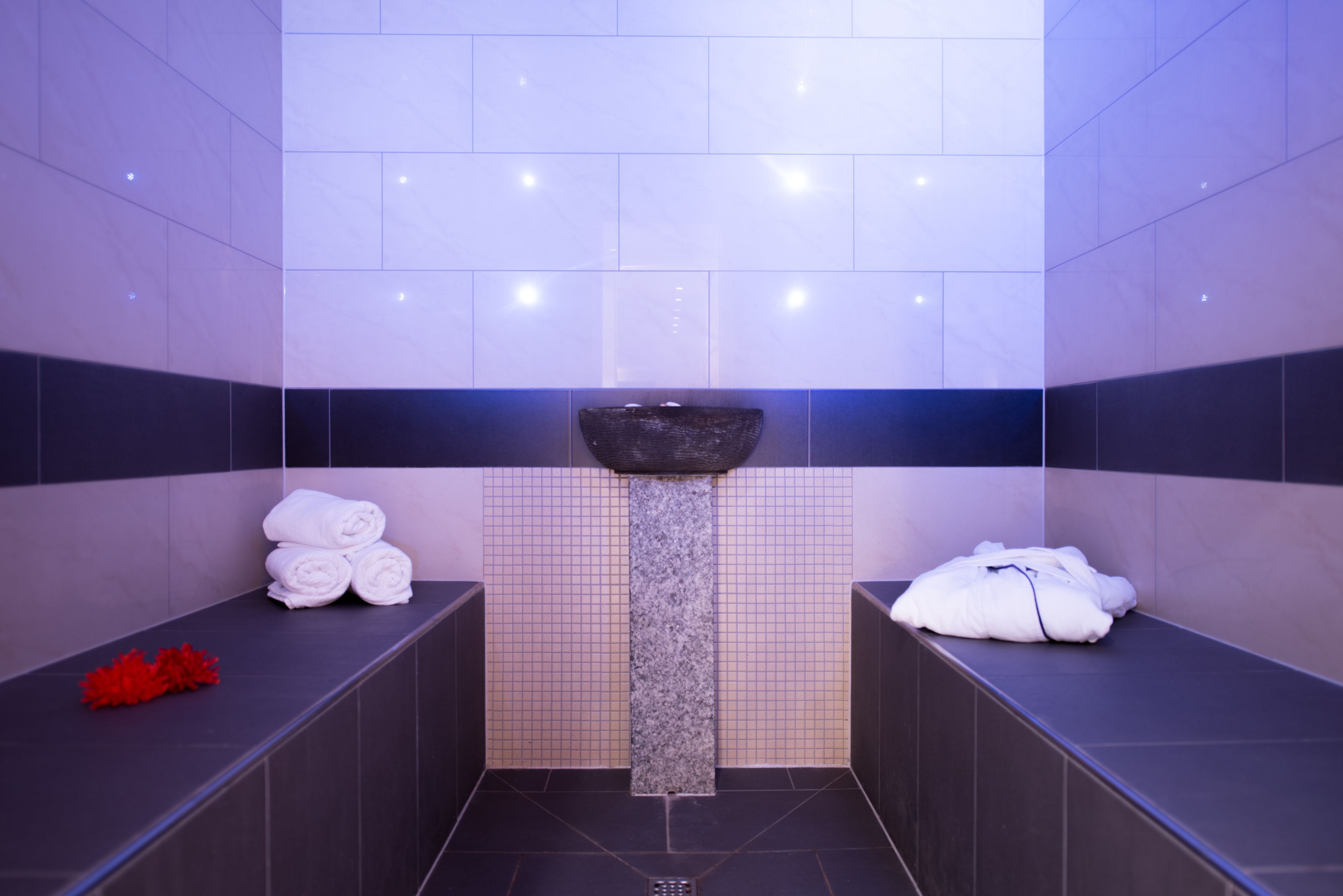 Spa / Wellness