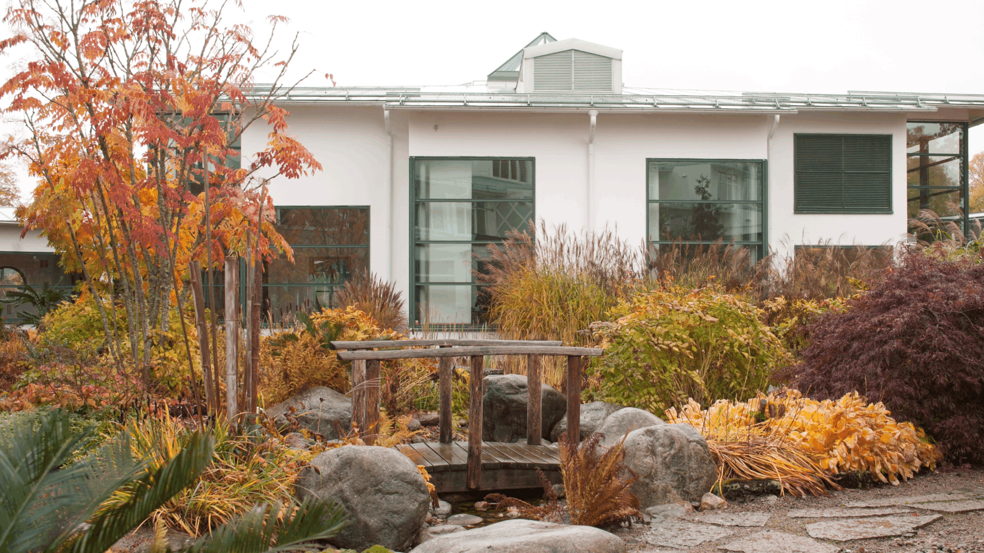 Spa / Wellness