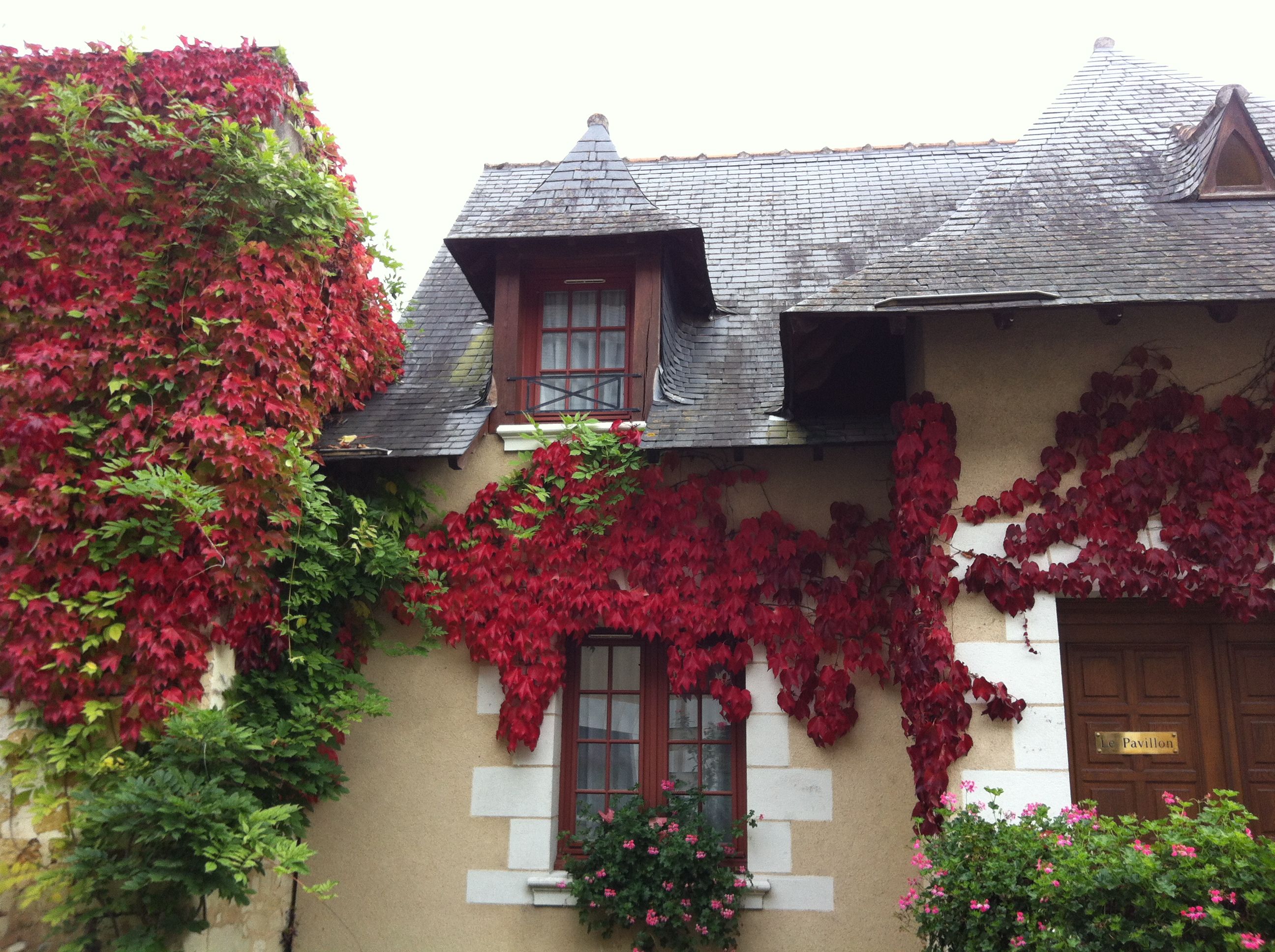 category_accommodation