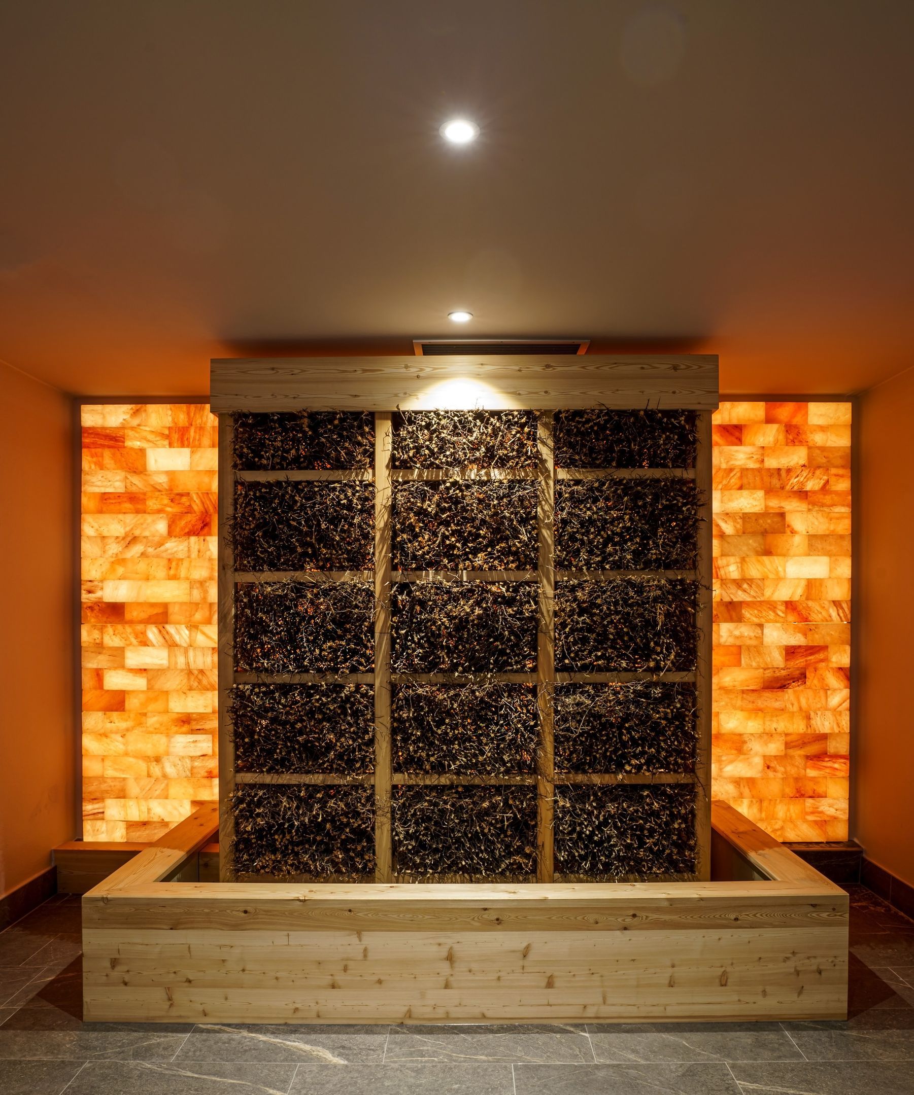 Spa / Wellness
