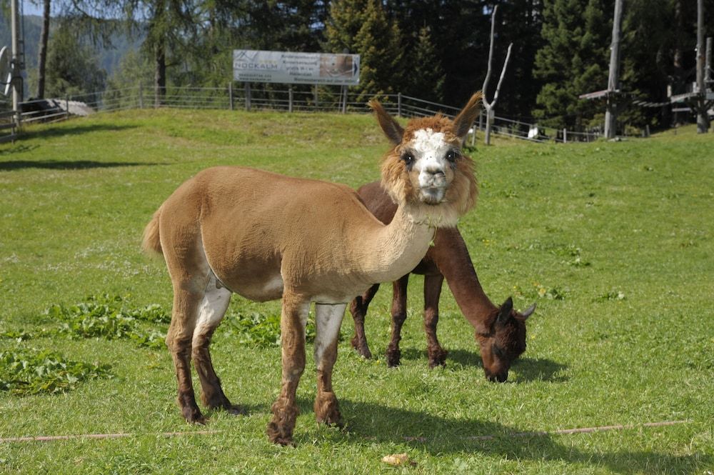 Generelt