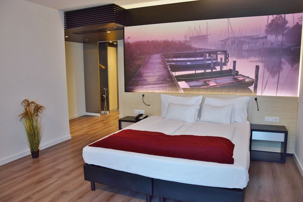 billede på Superior-dobbeltværelse - 1 queensize-seng - ikke-ryger (Pannonia Superior)