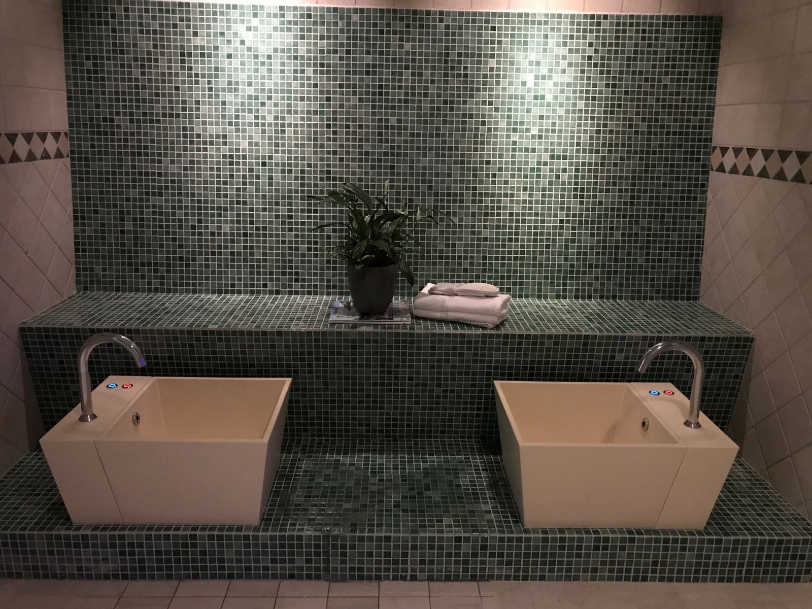 Spa / Wellness