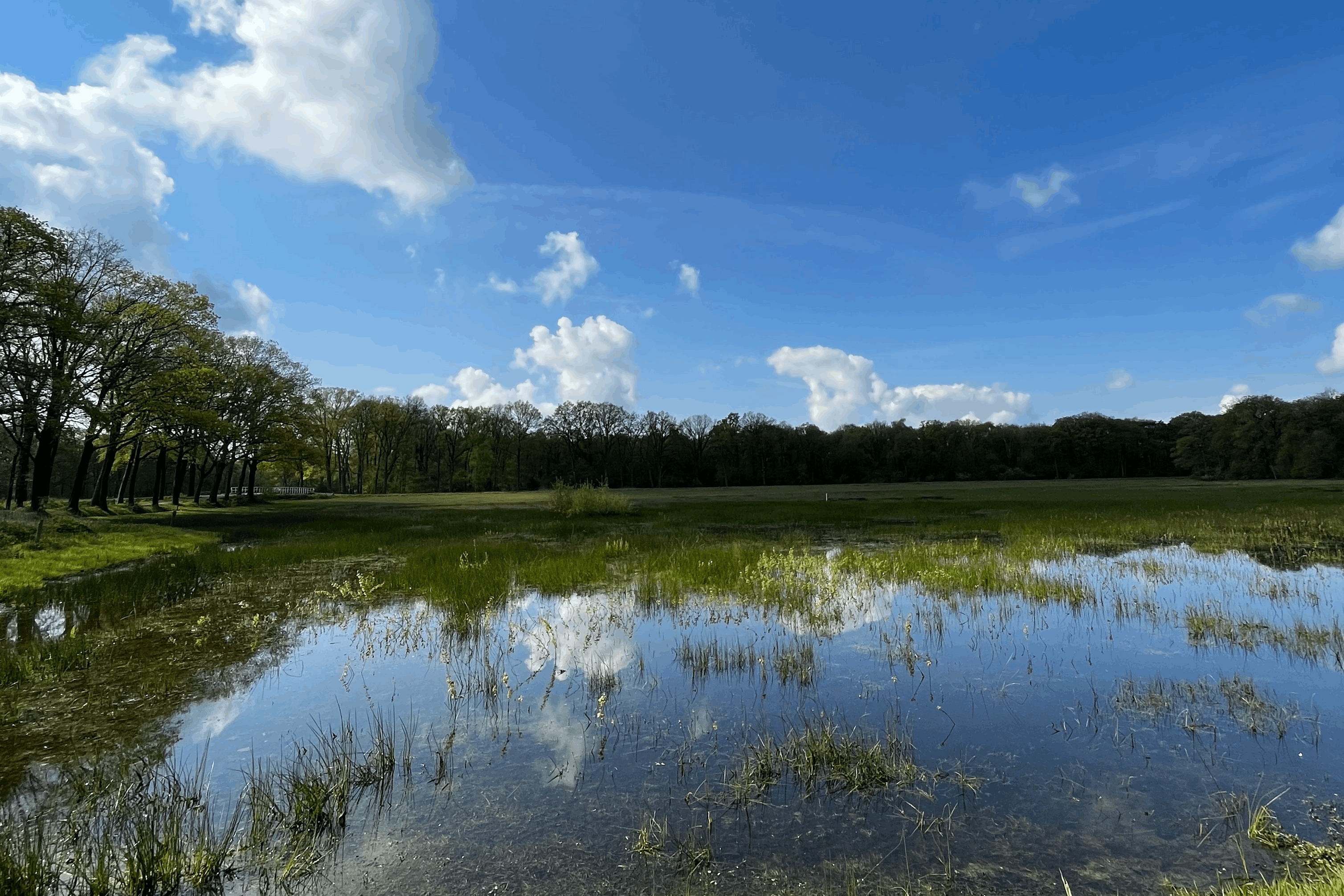 Omgivelser