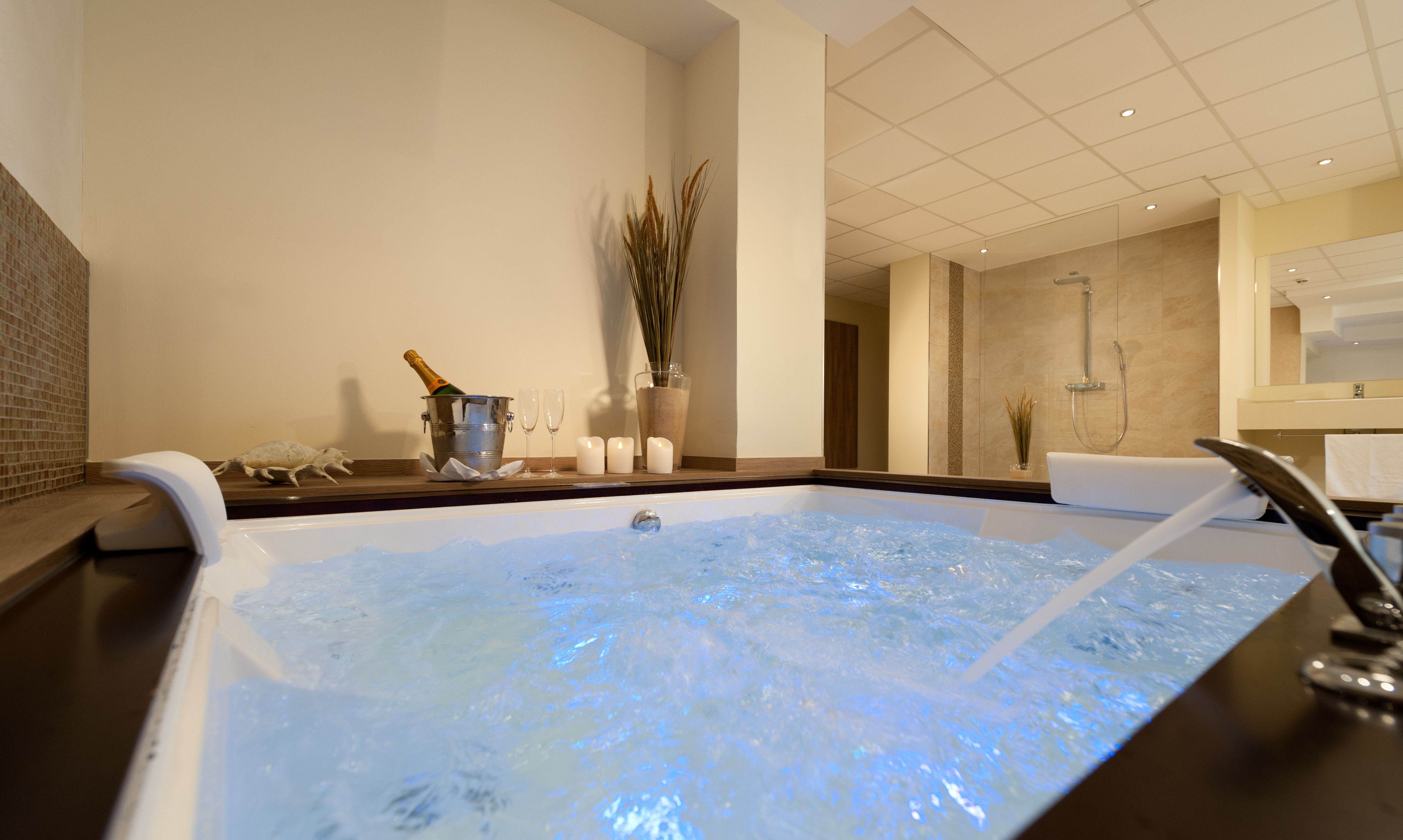 Spa / Wellness