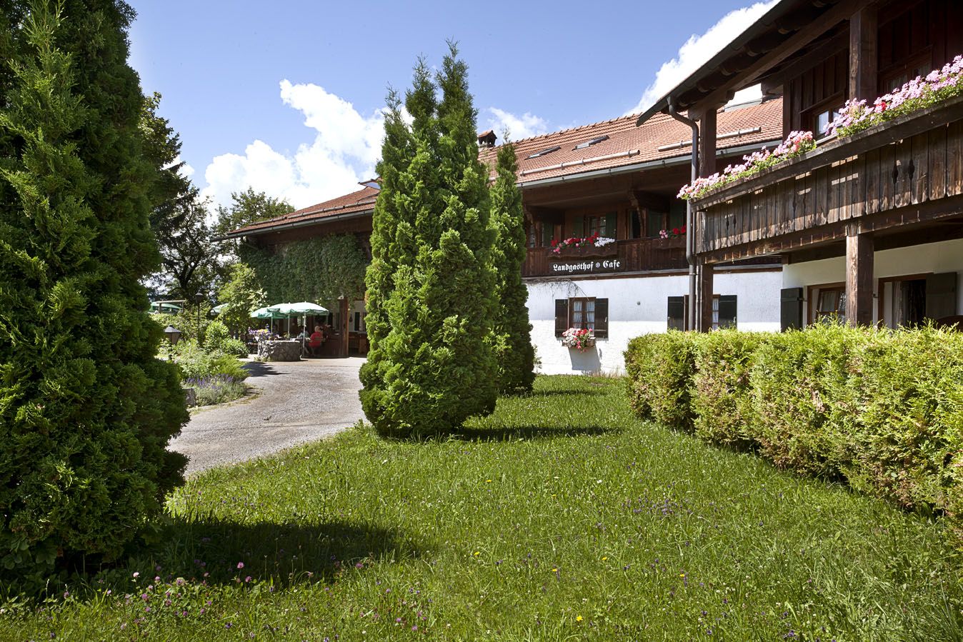 Hovedbillede