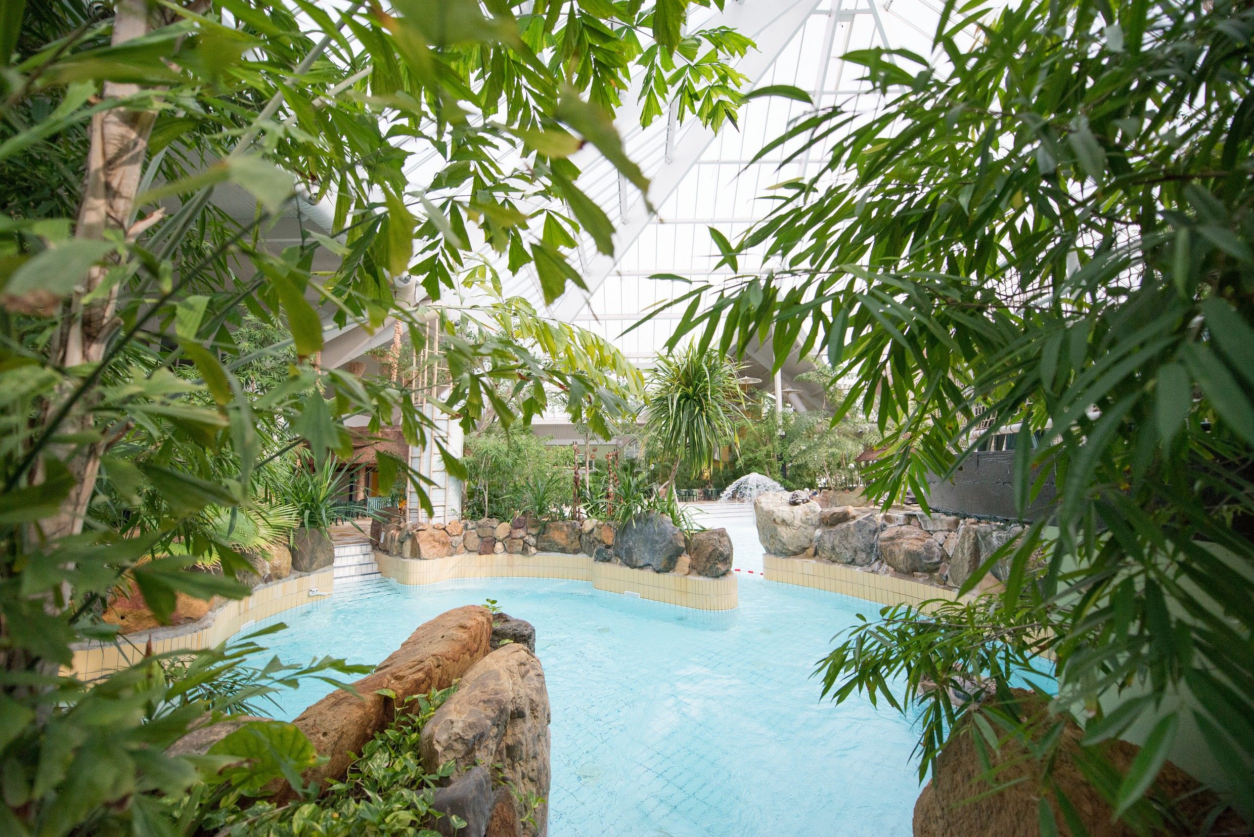 category_swimming