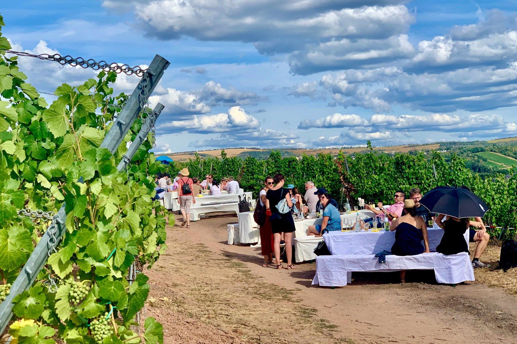 Generelt