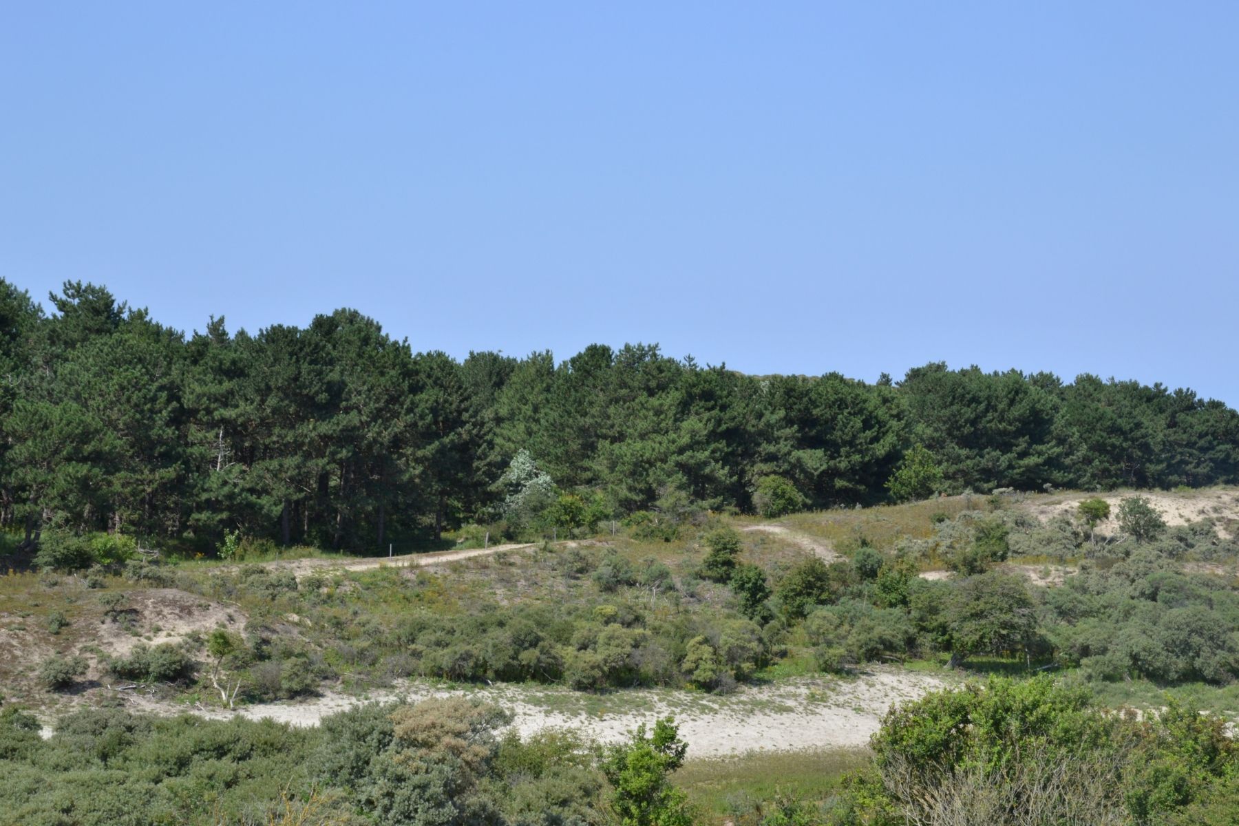 Omgivelser