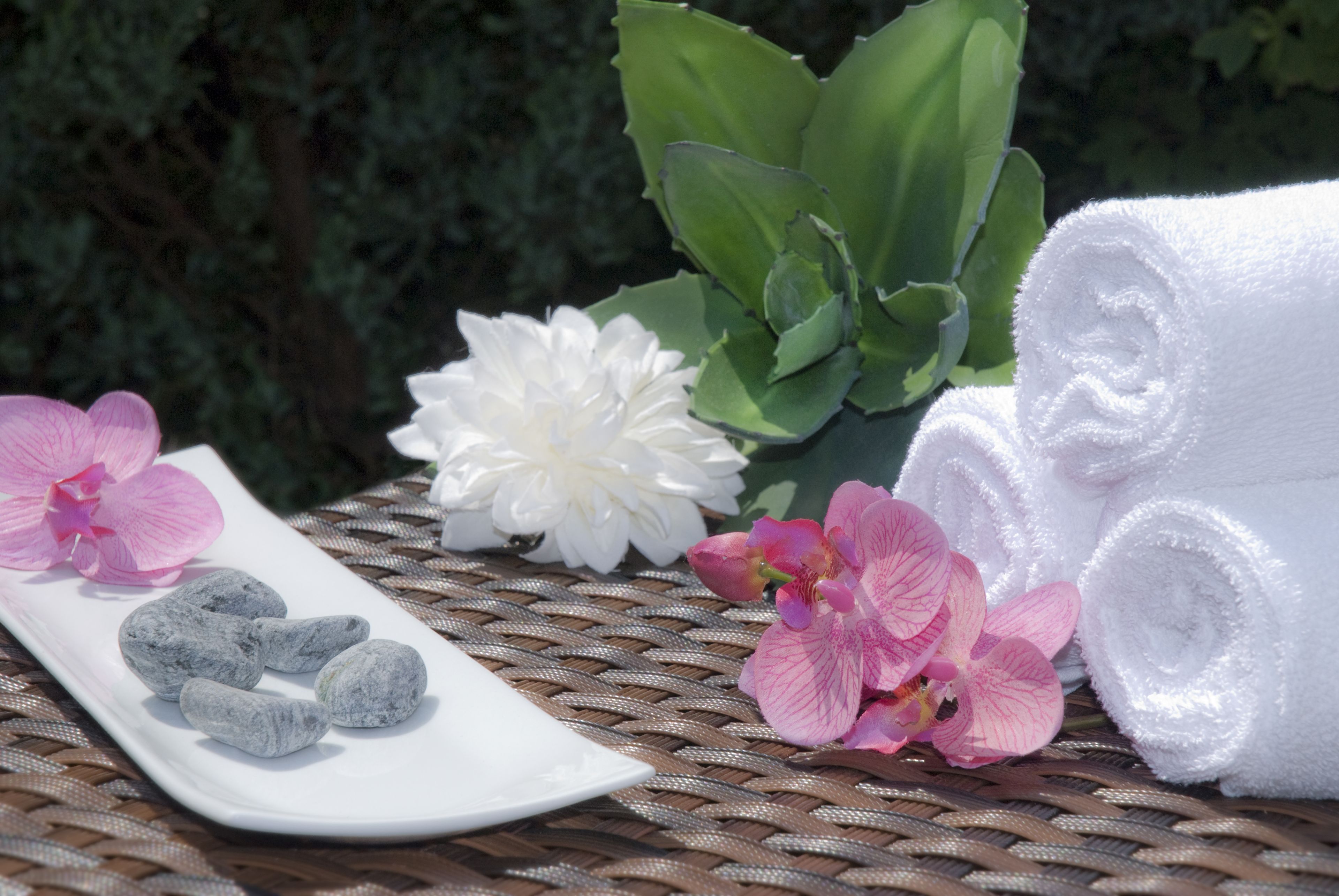 Spa / Wellness