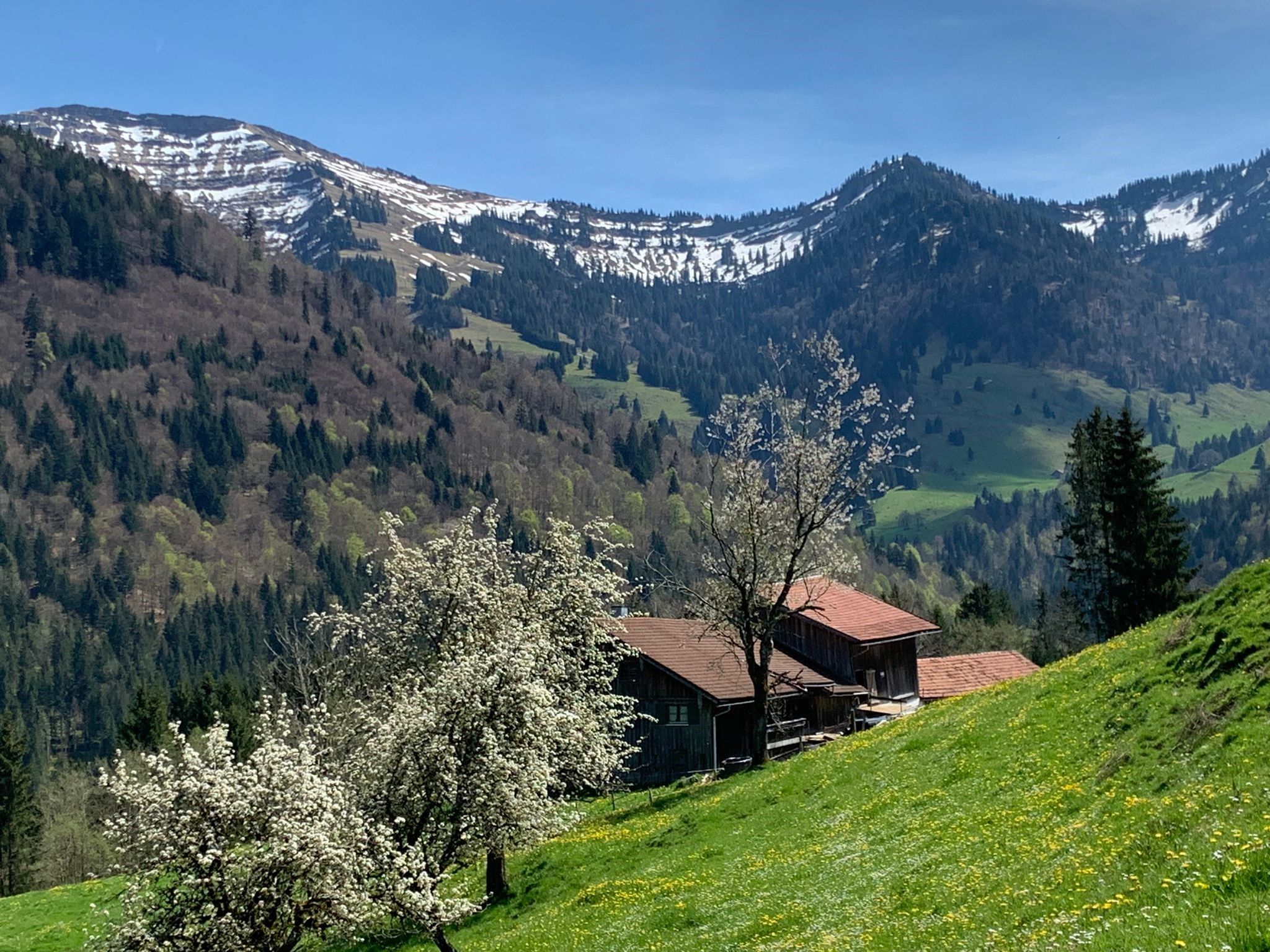 Omgivelser