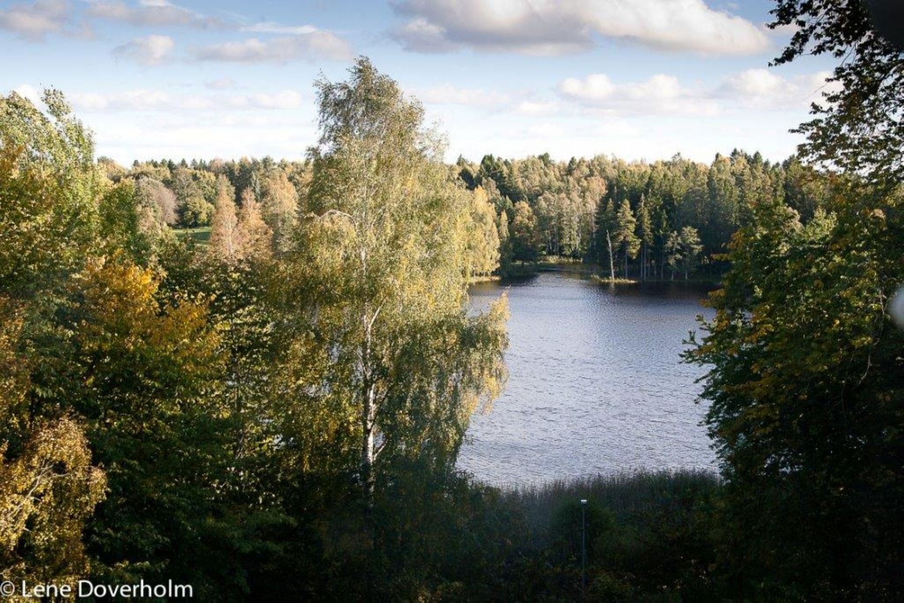 Omgivelser